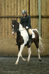 Isis Dressage Crown Farm Show 29th April 2012